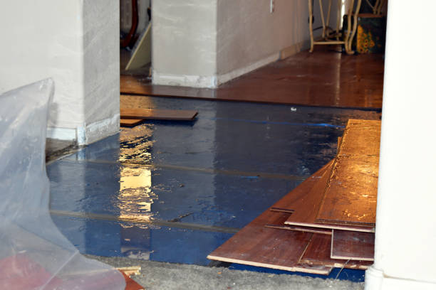Professional Basement Flood Cleanup technician working in Syracuse, IN